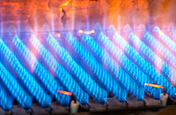 Brantingham gas fired boilers
